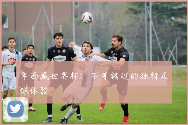 年西藏世界杯:不可错过的独特足球体验