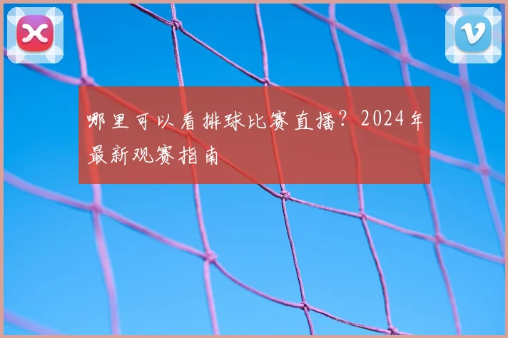 哪里可以看排球比赛直播?2024年最新观赛指南