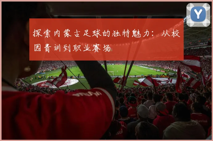 探索内蒙古足球的独特魅力：从校园青训到职业赛场