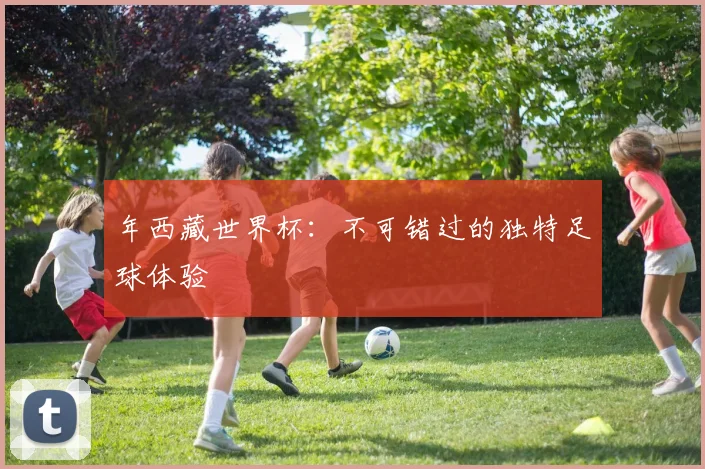 年西藏世界杯:不可错过的独特足球体验